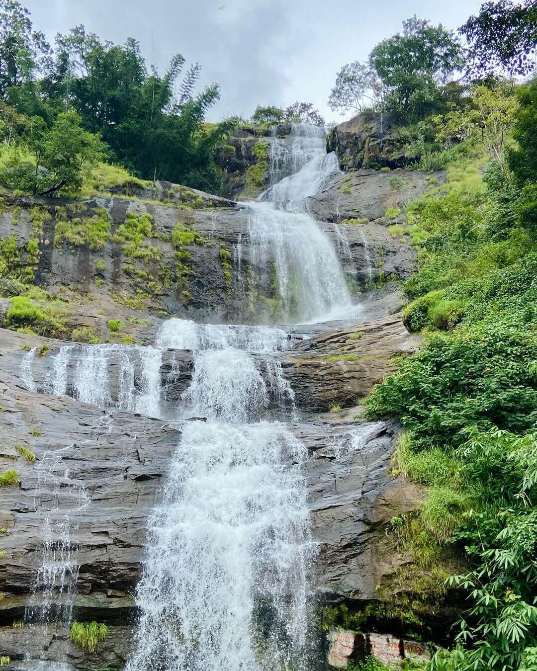 Cheeyappara Waterfalls - Places to Visit in Munnar 