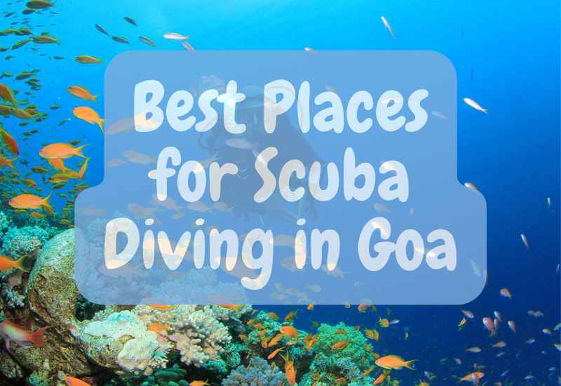 Best Places for Scuba Diving in Goa