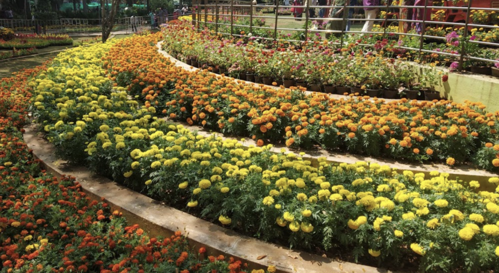 Pondicherry Botanical Garden